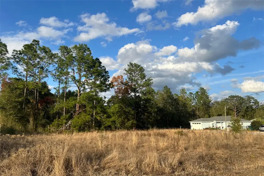 0 Se 159th St, Summerfield, FL 34491 - Image #2