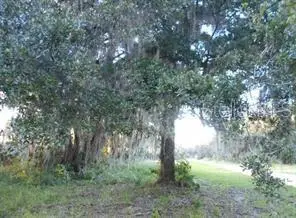 566 Sioux Boulevard, Oak Hill, FL 32759 - #1