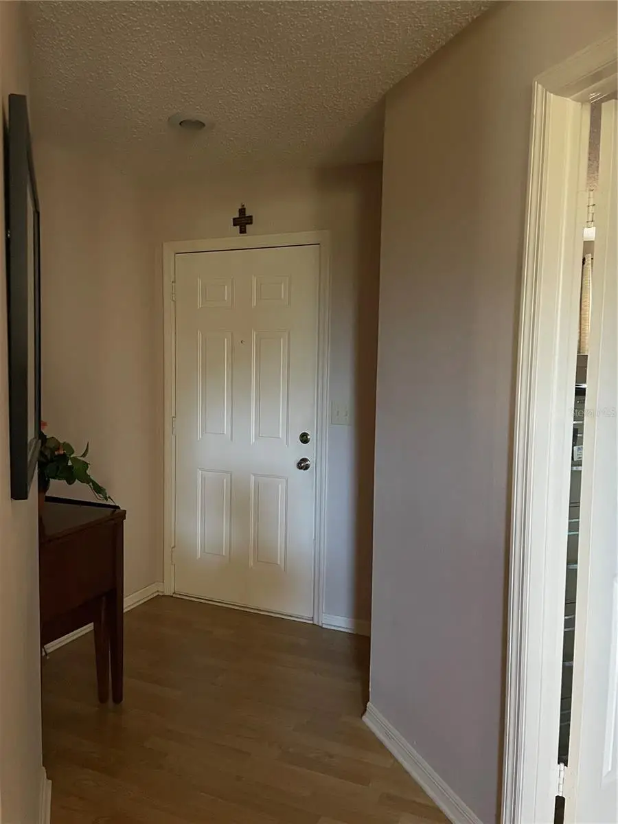 28647 Twinbrook, Wesley Chapel, FL 33543 - #3