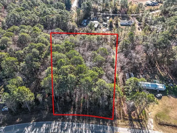 2223 Cosmos Avenue, MIDDLEBURG, FL 32068