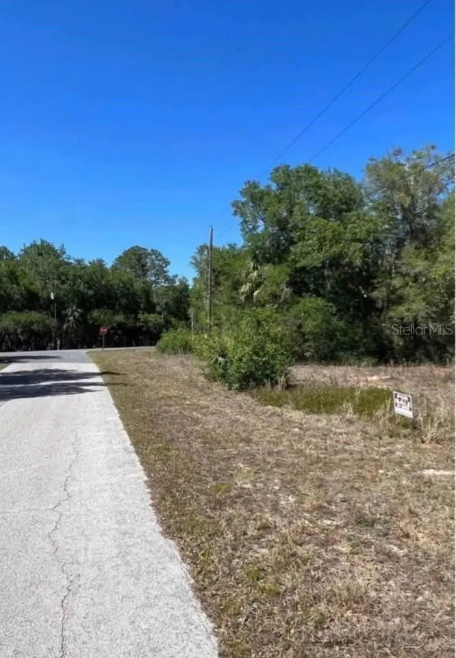 12405 N Goldie Point, Dunnellon, FL 34433 - Image #2