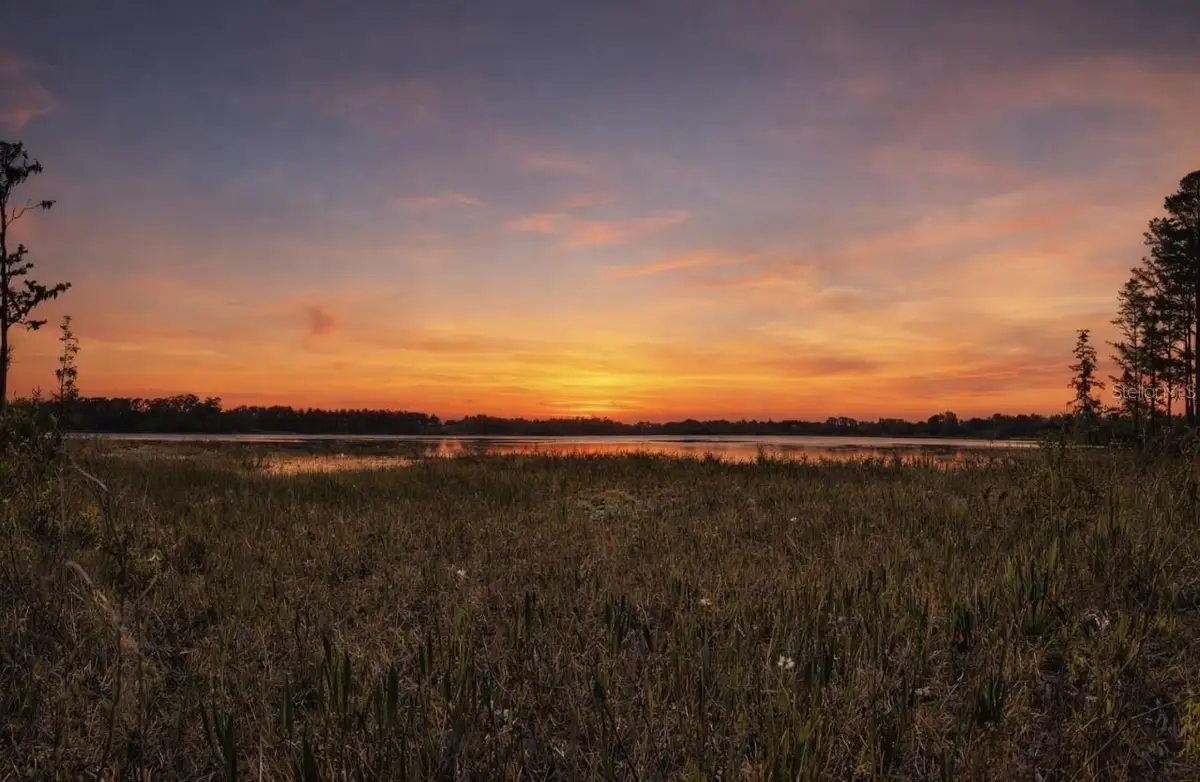 8335 Florida Boys Ranch Road, Groveland, FL 34736 - #1