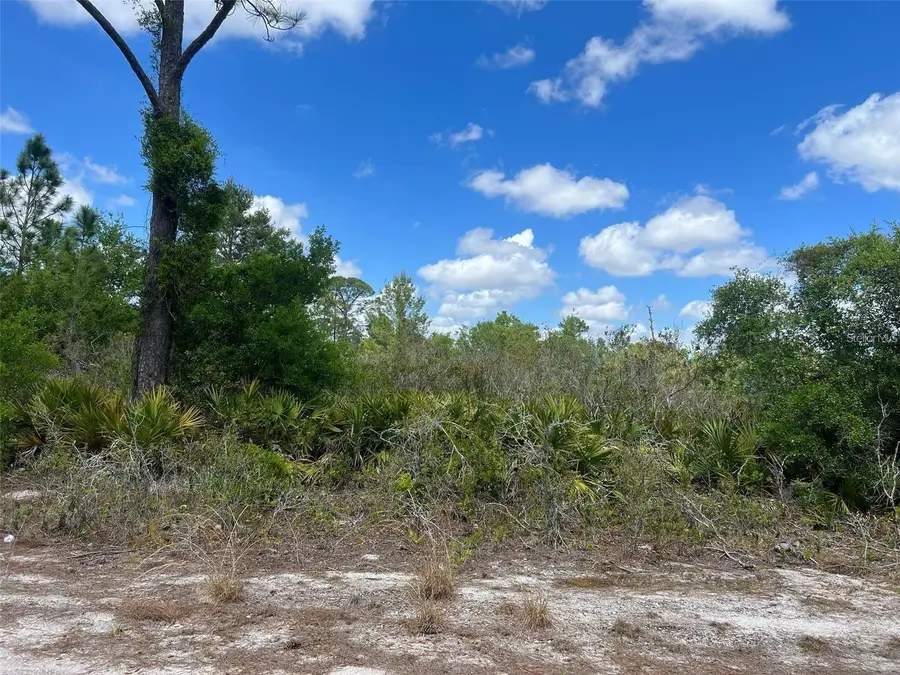 331 Tanager Avenue, Sebring, FL 33870 - Image #2