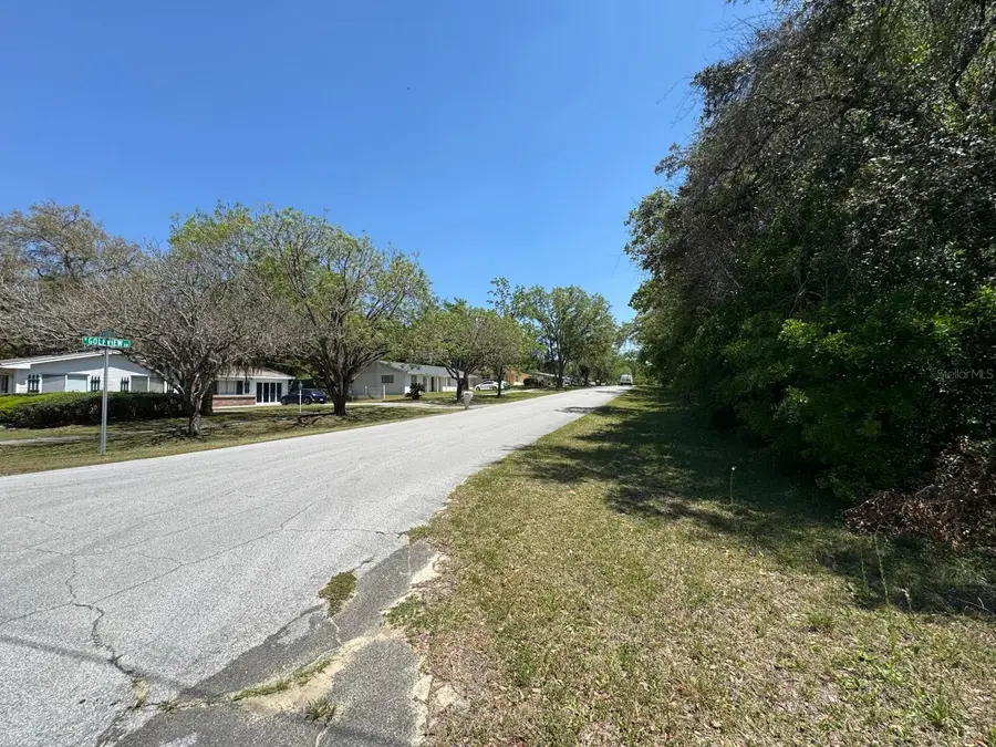 9146 N Golfview Drive, Citrus Springs, FL 34434 - #3