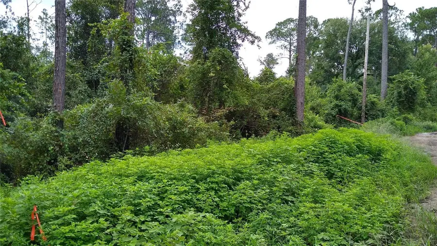 12th Avenue, Deland, FL 32724 - #2