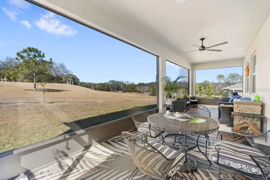 5325 Basalt Drive, Mount Dora, FL 32757 - #3