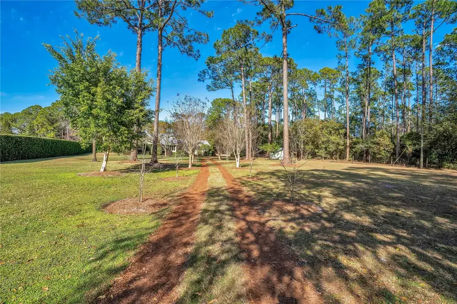 11451 Fangorn Road, Orlando, FL 32825 - Image #3