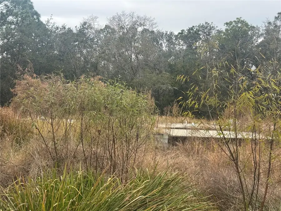 1443 Tern Court, Poinciana, FL 34759 - Image #2