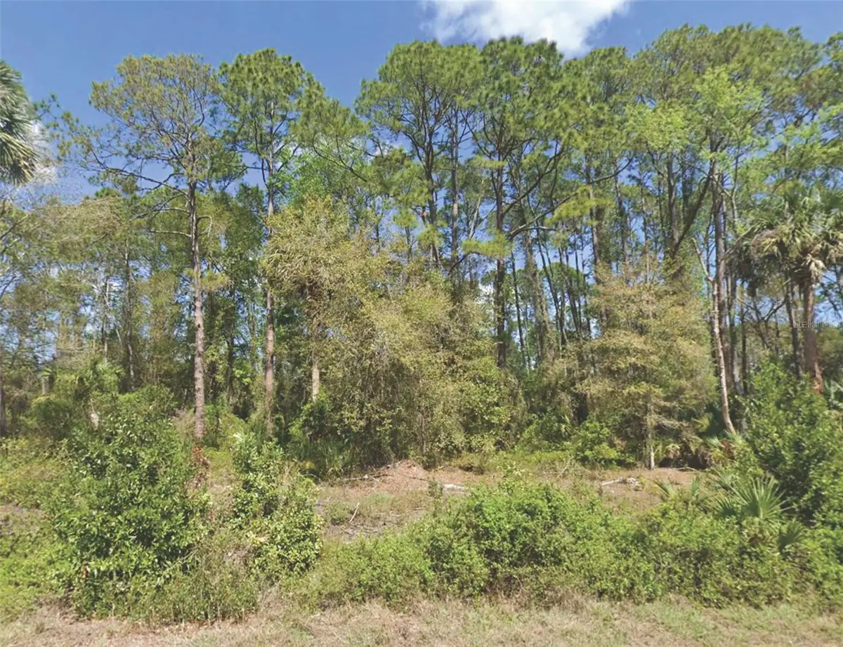 318 Redwood Boulevard, Georgetown, FL 32139 - #1