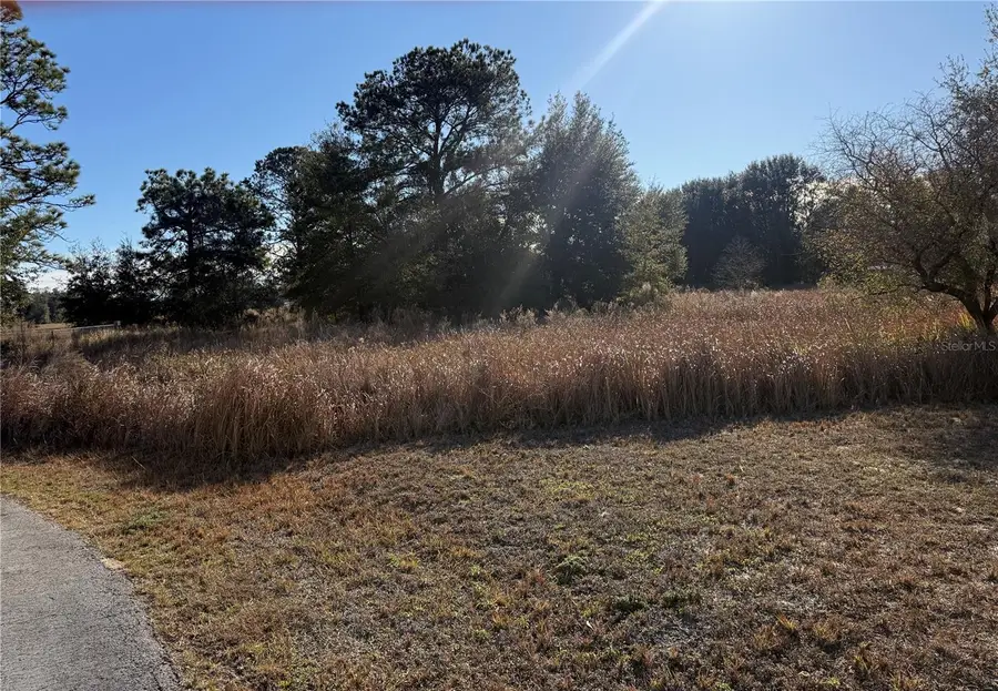 Dogwood Loop Court, Ocala, FL 34472 - Image #2