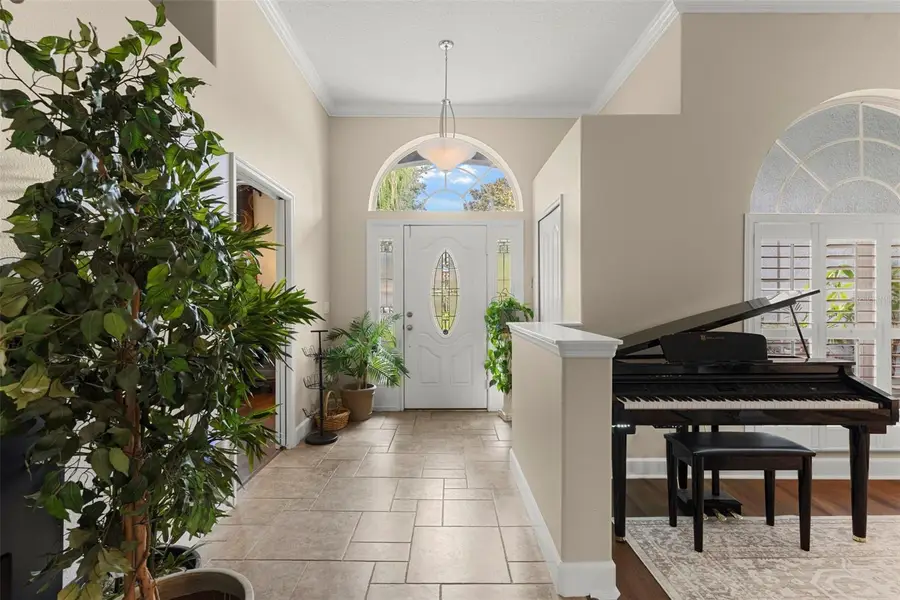 6234 Tremayne Drive, Mount Dora, FL 32757 - Image #3