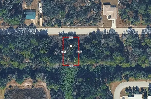 6970 W Merrivale Lane, HOMOSASSA, FL 34446