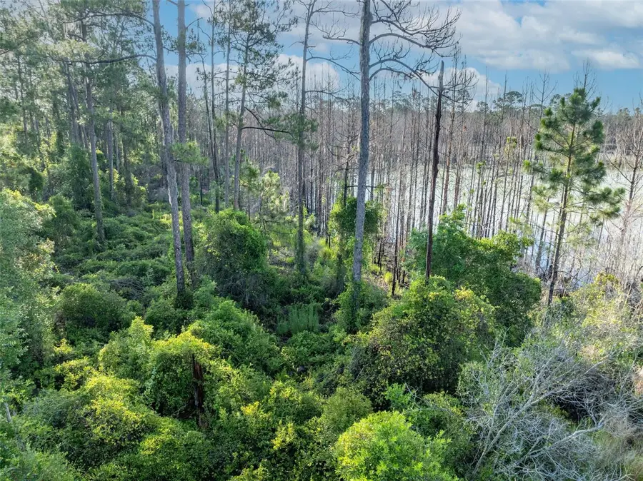 Melshire Avenue, Deltona, FL 32738 - Image #3