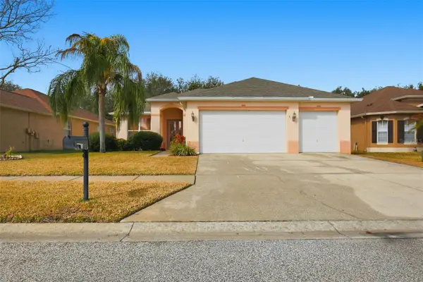 14237 Beauly Circle, HUDSON, FL 34667