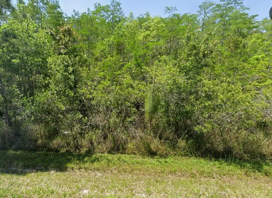 0 Pierre Ave, Saint Cloud, FL 34773 - Image #2