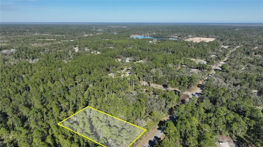 Saffron Avenue, Eustis, FL 32736 - #2