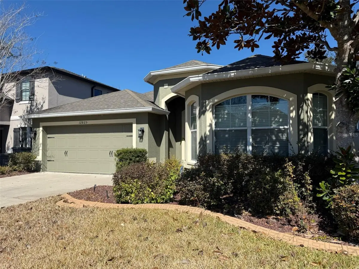 12825 Tikal Way, Trinity, FL 34655 - #1