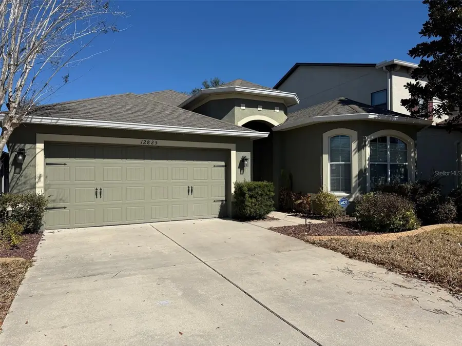 12825 Tikal Way, Trinity, FL 34655 - #2