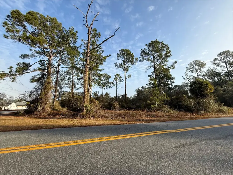 W Thyme Avenue, Eustis, FL 32736 - #2
