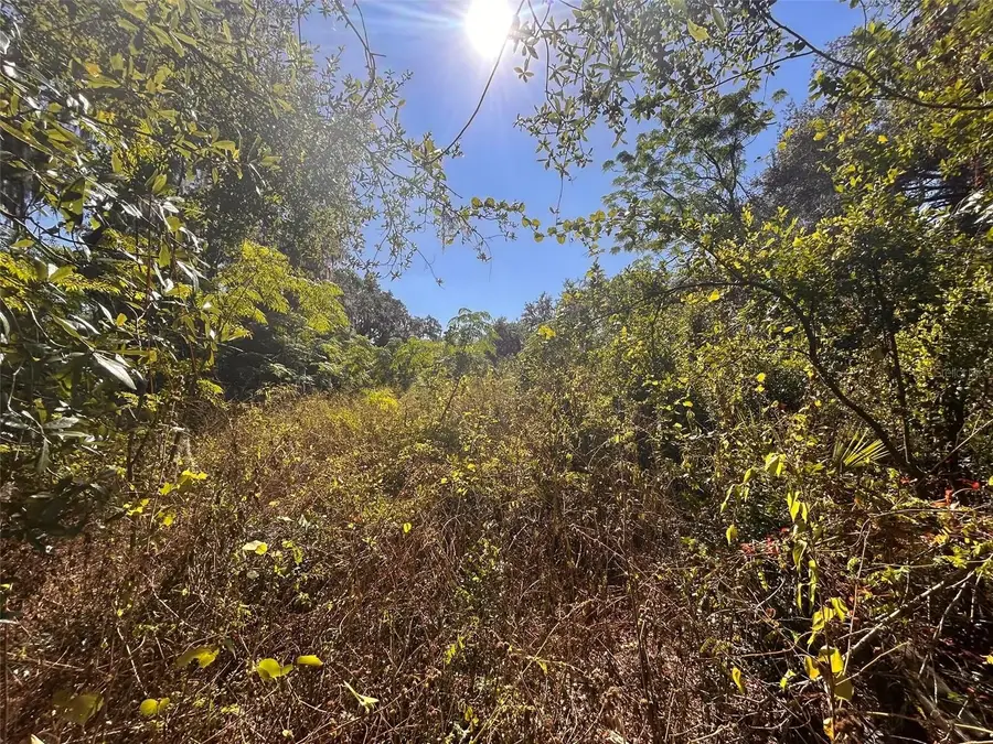 11119 Bessie Dix Road, Seffner, FL 33584 - #3