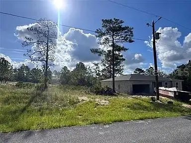 6597 N Grayton Terrace, Dunnellon, FL 34433 - #2