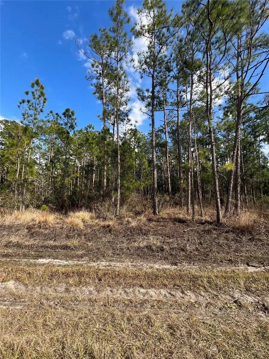 6660 Balboa Boulevard, Sebring, FL 33872 - #3