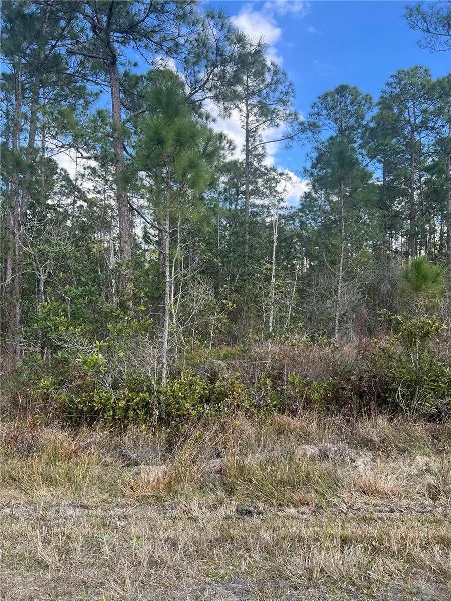 6727 Balboa Boulevard, Sebring, FL 33872 - #2