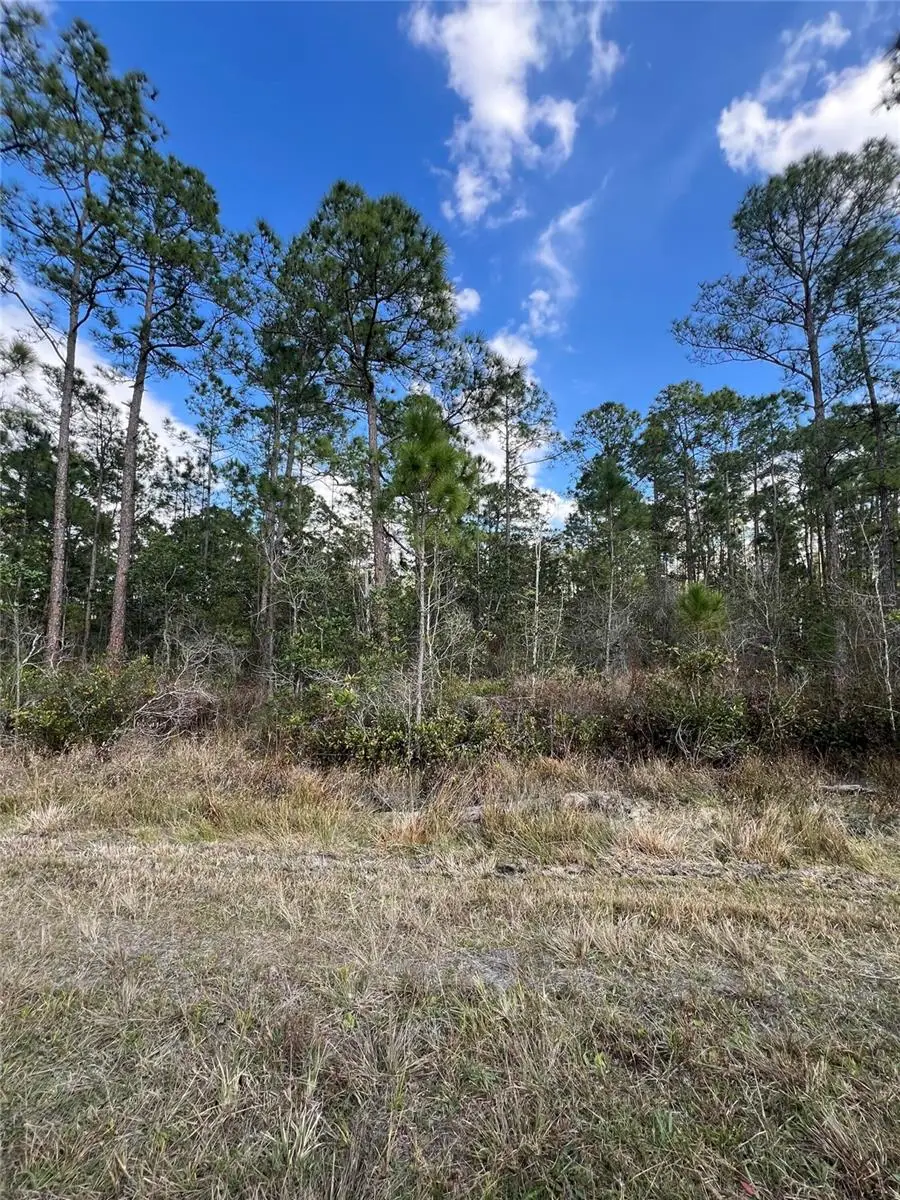 6727 Balboa Boulevard, Sebring, FL 33872 - #3