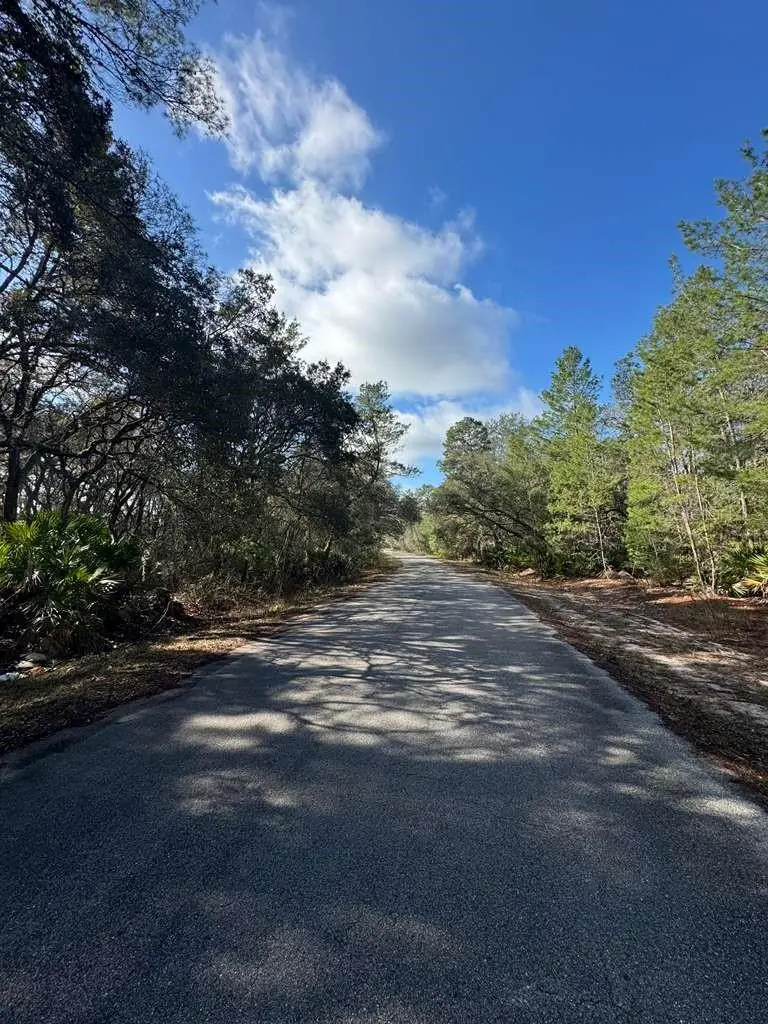 Address Withheld By Seller, Ocklawaha, FL 32179 - #2