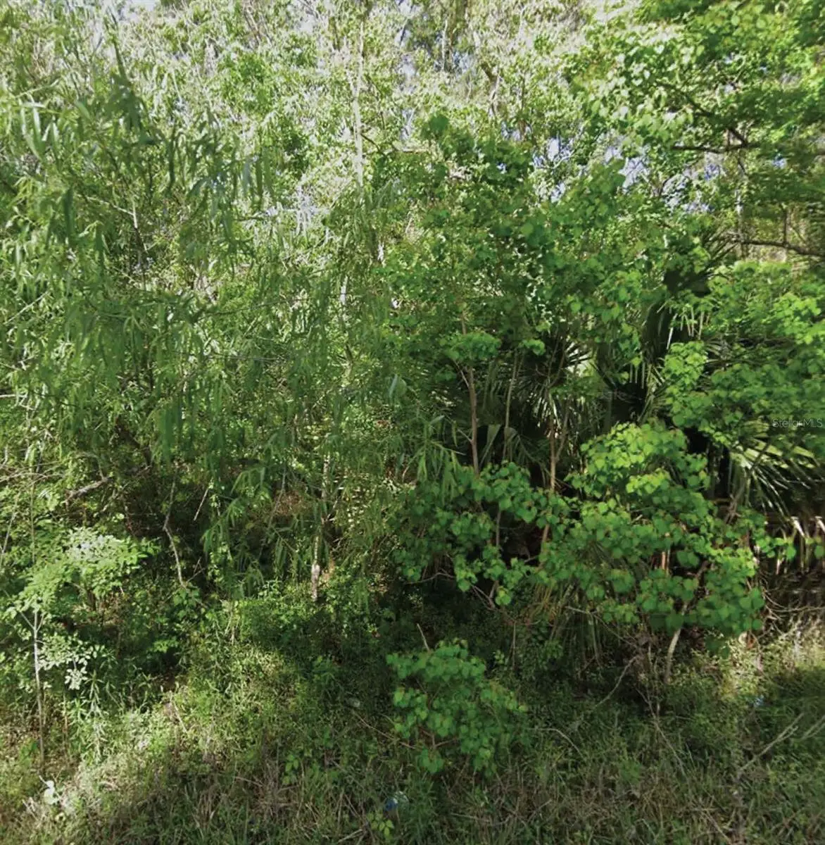 NE 132nd Avenue, Silver Springs, FL 34488 - #1