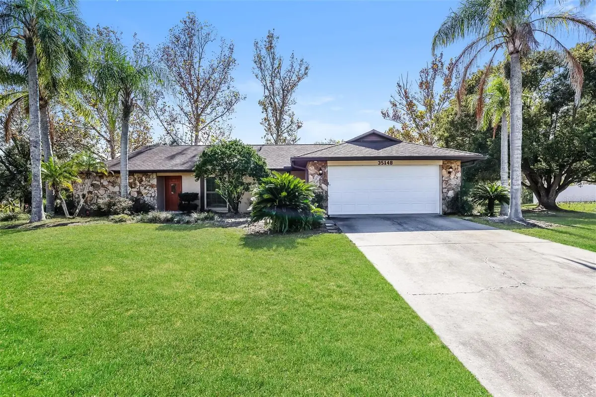 35148 Dolphin Lake Drive, Zephyrhills, FL 33541 - #1