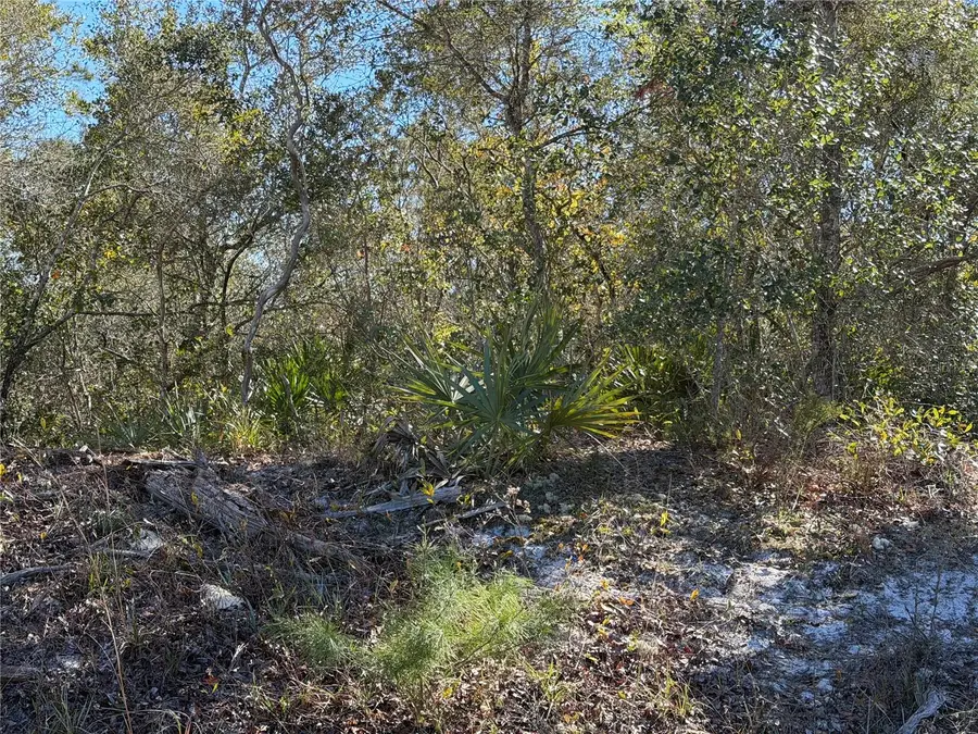 Mcbride Avenue, Deltona, FL 32725 - #2