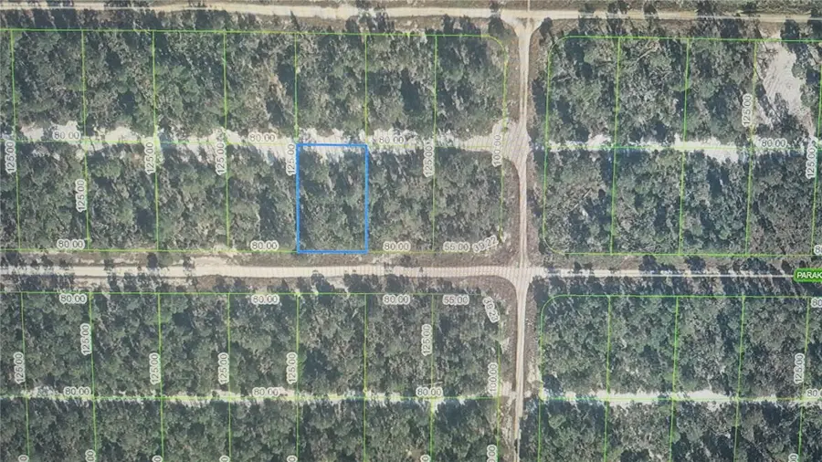608 Parakeet Avenue, Sebring, FL 33872 - #3
