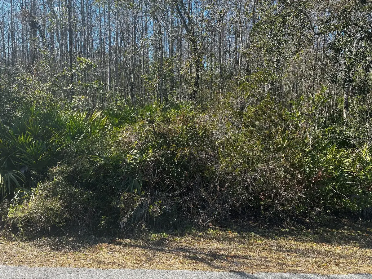 1228 Murdock Boulevard, Orlando, FL 32825 - #1