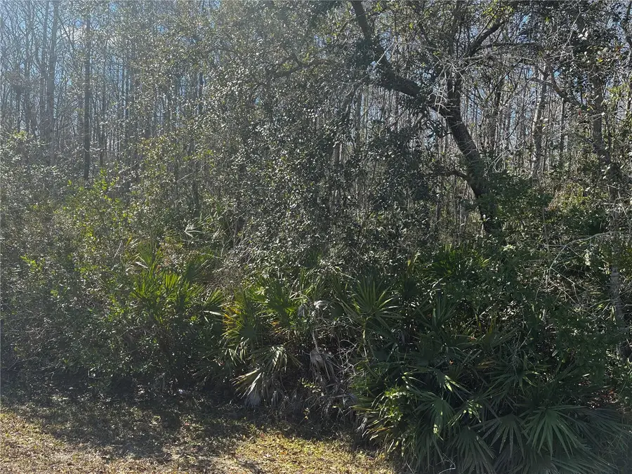 1228 Murdock Boulevard, Orlando, FL 32825 - #3