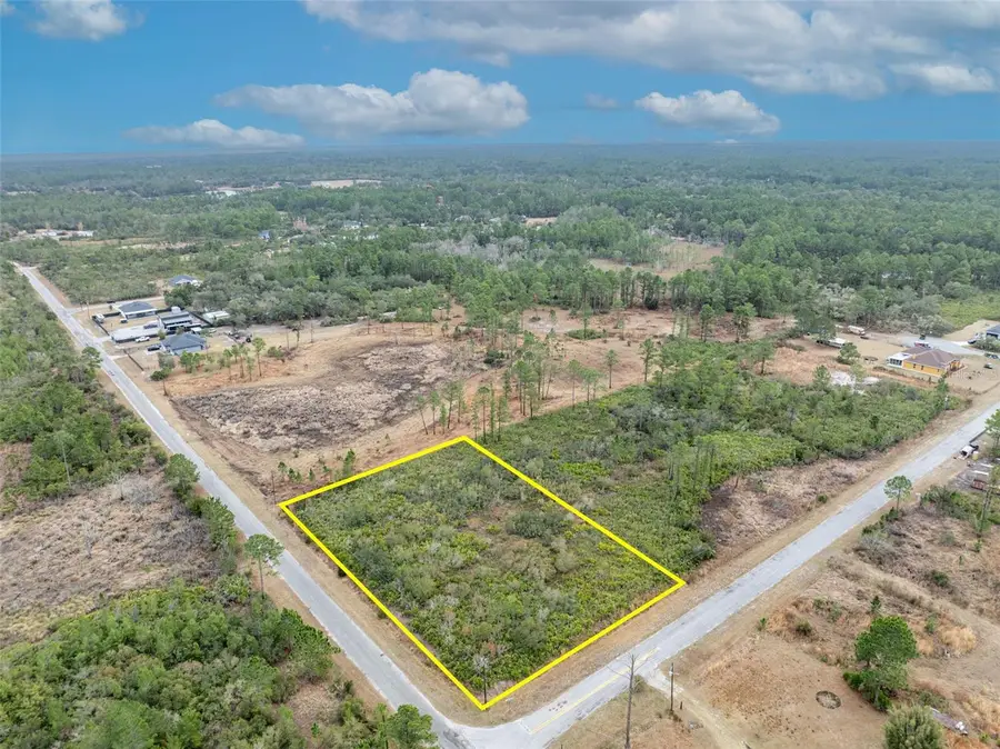 Honeysuckle Street, Eustis, FL 32736 - #3