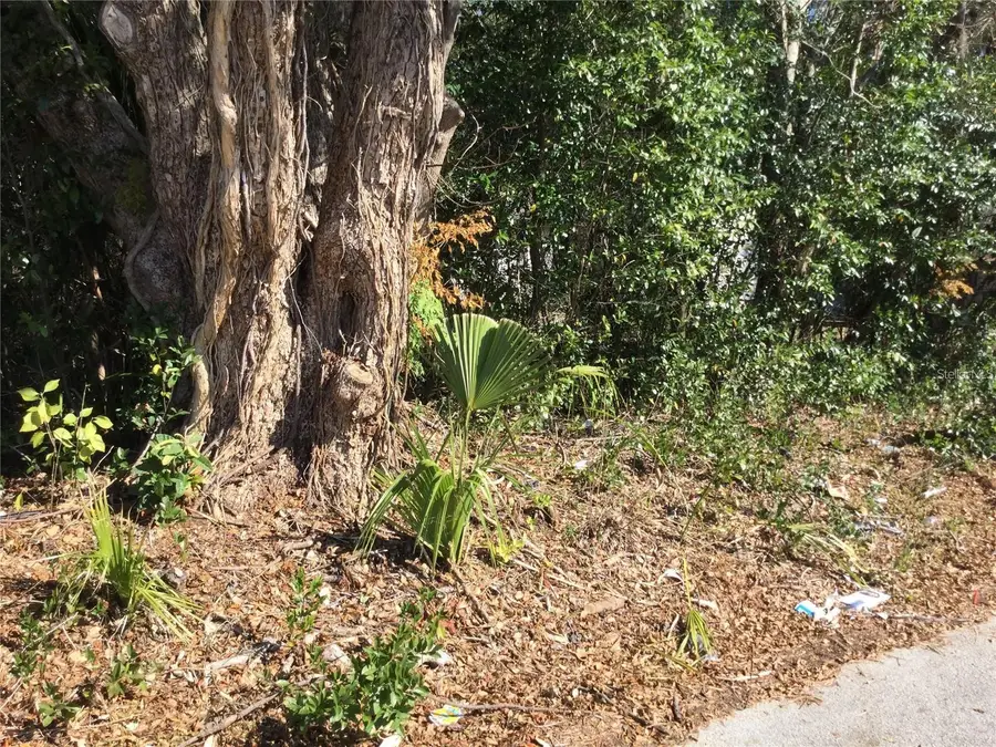 537 W Division Street, Deland, FL 32720 - #2