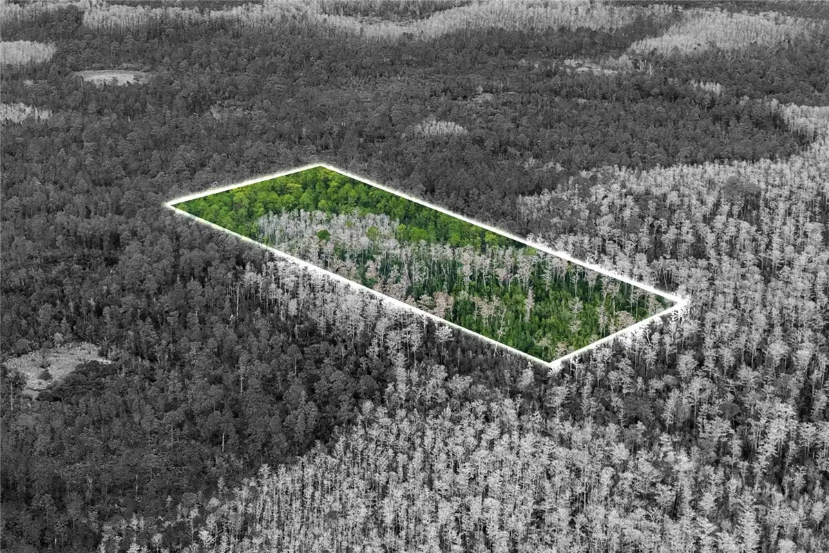 Dill Road, Orlando, FL 32820 - #1