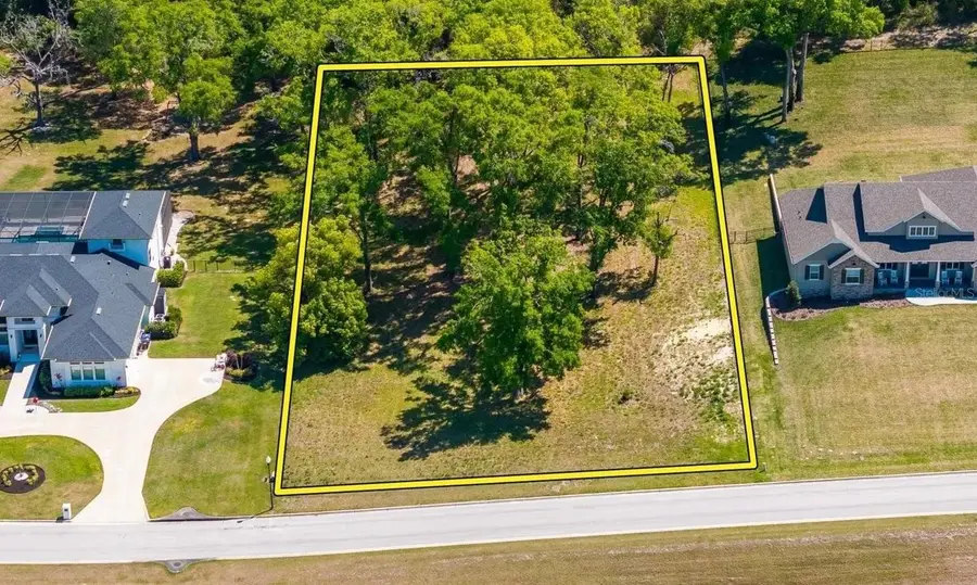 7041 Norne Lane, Mount Dora, FL 32757 - #3