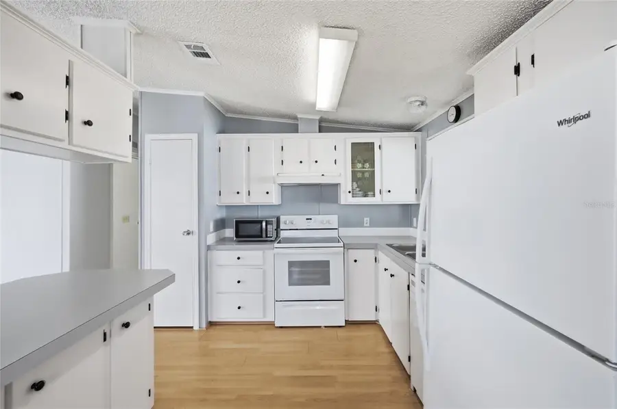 25323 Casa Del Lago Lane, Leesburg, FL 34748 - #3