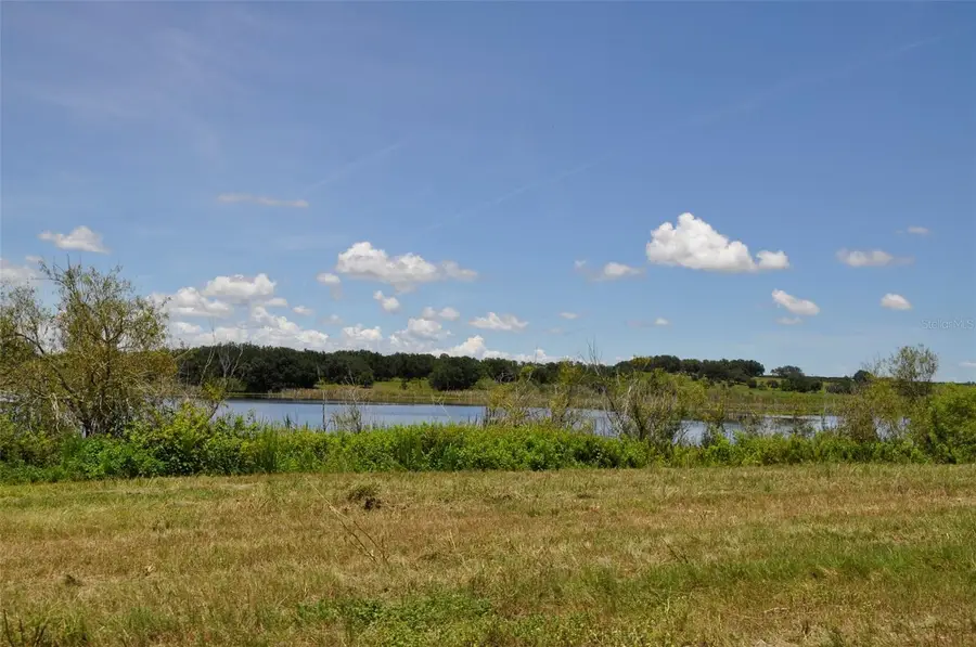 Lake Marie Drive, Haines City, FL 33844 - #3