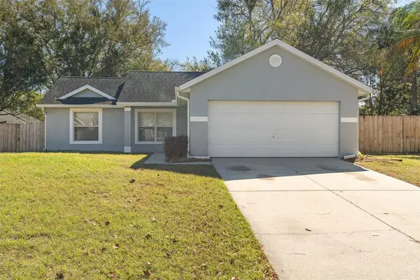 10611 Reagans Run Drive, CLERMONT, FL 34711