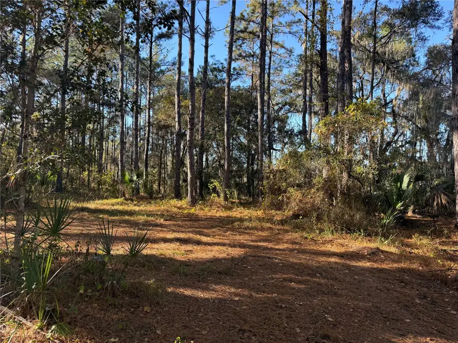 17221 SE 95th Street Road, Ocklawaha, FL 32179 - #3