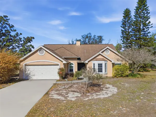 10225 Evening Trail Drive, RIVERVIEW, FL 33569