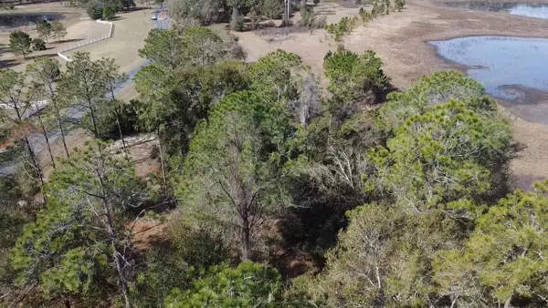 Bonsmara Drive, LEESBURG, FL 34748