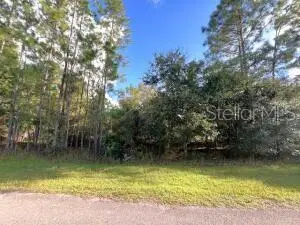405 Pandora Drive, Indian Lake Estates, FL 33855 - #1