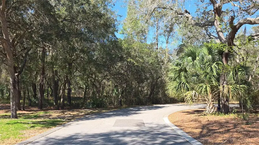 Lincoln Road, Deland, FL 32724 - #3