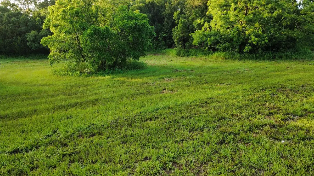 327 Beaverbrook Lane, Oak Hill, FL 32759 - #1