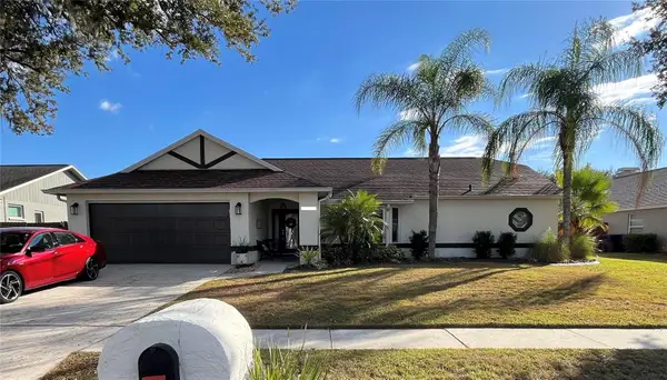 1407 Queensbury Avenue, VALRICO, FL 33596