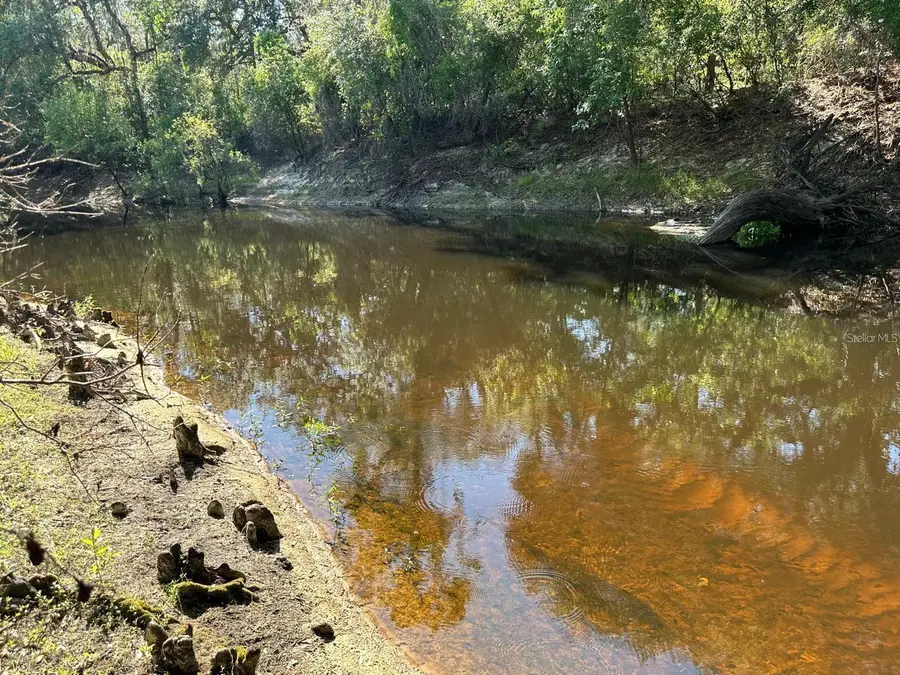 0 Smallman Street, Webster, FL 33597 - #2